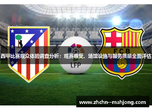 西甲比赛观众体验调查分析：观赛感受、场馆设施与服务质量全面评估