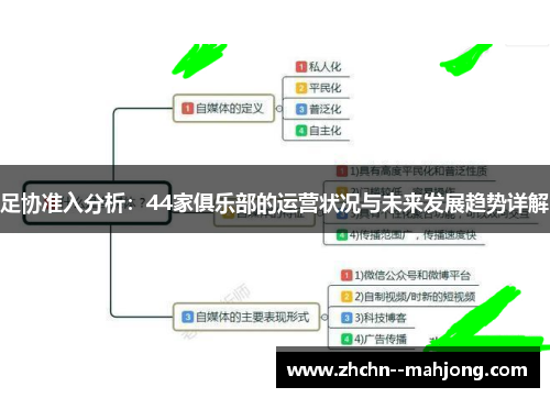 足协准入分析：44家俱乐部的运营状况与未来发展趋势详解