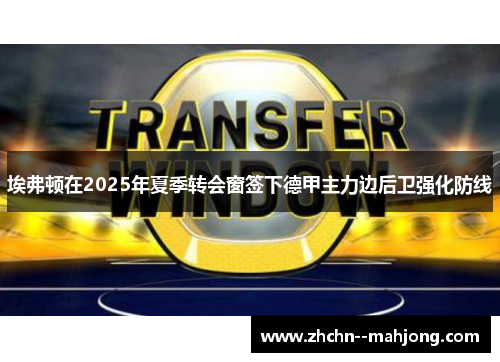 埃弗顿在2025年夏季转会窗签下德甲主力边后卫强化防线 埃弗顿在2025年夏季转会窗签下德甲主力边后卫强化防线