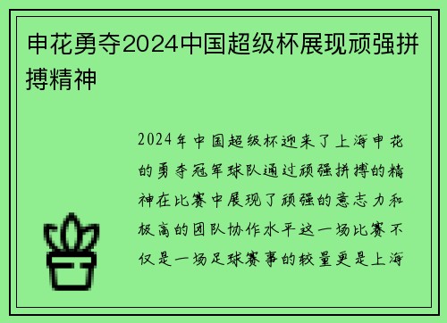 申花勇夺2024中国超级杯展现顽强拼搏精神